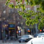 Sun Apr 11 18:57:53 2010