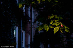 Sat Aug 28 19:39:20 2010