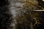 Sat Dec  5 22:37:50 2009