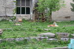 Sat May 17 11:36:04 2008