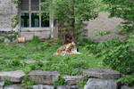 Sat May 17 11:36:45 2008