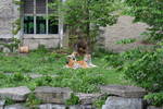 Sat May 17 11:37:14 2008