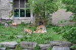 Sat May 17 11:37:26 2008