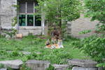 Sat May 17 11:37:33 2008