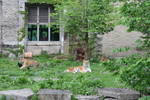 Sat May 17 11:37:39 2008