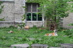 Sat May 17 11:38:03 2008
