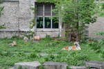 Sat May 17 11:38:04 2008