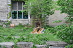 Sat May 17 11:39:00 2008