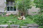 Sat May 17 11:39:01 2008