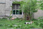 Sat May 17 11:39:47 2008