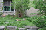 Sat May 17 11:40:57 2008