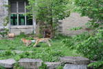 Sat May 17 11:41:22 2008