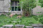 Sat May 17 11:41:26 2008