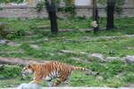 Sat May 17 11:44:38 2008