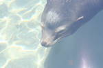 Fri Jun  6 12:27:39 2008