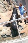 Fri Jun  6 13:31:16 2008