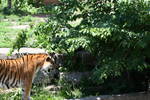 Fri Jun  6 13:42:06 2008