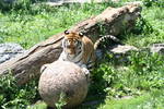 Fri Jun  6 13:42:45 2008