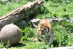 Fri Jun  6 13:42:47 2008