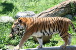 Fri Jun  6 13:42:50 2008