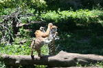 Fri Jun  6 13:49:22 2008