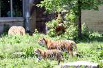 Fri Jun  6 13:56:36 2008