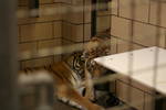 Sat Jun  7 09:20:40 2008