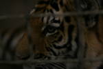 Sat Jun  7 09:24:21 2008