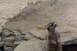 Sat Aug  9 14:04:43 2008