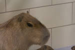 Sat Aug 30 12:37:55 2008