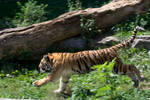 Sat Aug 30 13:39:48 2008