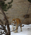 Fri Jan  2 12:12:58 2009