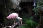Fri Jan  2 13:15:49 2009