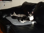Lucy and Linus