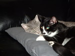 Lucy and Linus again