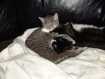 Lucy and Linus