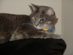 DSCF0222