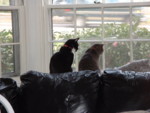 DSCF0224