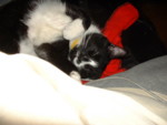 DSCF0228