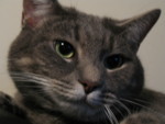 Lucy Closeup 1