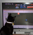 Linus attempts to help play The Legend of Zelda