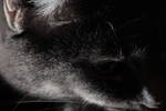Thu Dec 11 02:28:10 2008