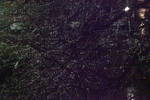 Thu Dec 11 22:02:42 2008