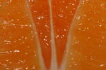 Tue Dec  2 23:19:21 2008