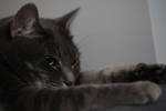 Wed Dec 10 20:53:33 2008