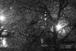 Fri Dec 12 00:13:59 2008