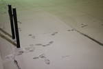 Wed Dec 17 03:13:50 2008