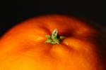 Thu Dec 18 20:53:59 2008