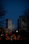 Sat Dec 12 16:39:19 2009