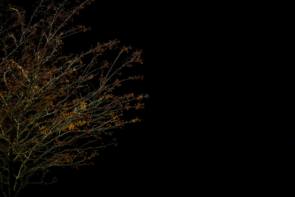 Mon Dec 14 19:25:25 2009
